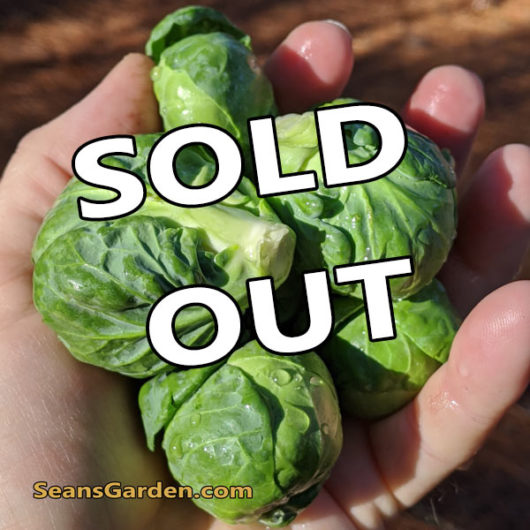 brussels sprouts sold out
