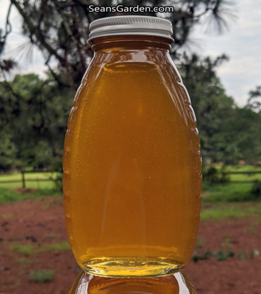 1 lb honey